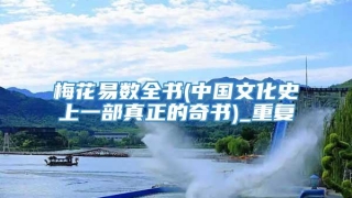 梅花易数全书(中国文化史上一部真正的奇书)_重复