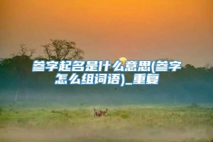 参字起名是什么意思(参字怎么组词语)_重复