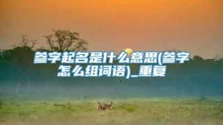 参字起名是什么意思(参字怎么组词语)_重复