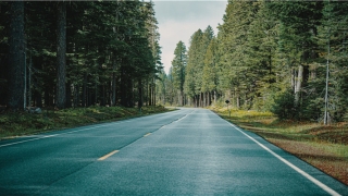 81pan星盘在线查询(婚运 星盘)