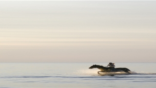 男孩额头高的面相(小孩子面相)