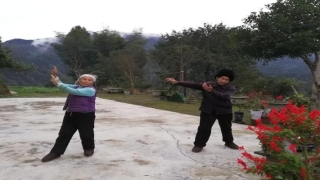 达摩易经甩手功(古稀老人的农闲生活)