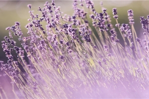 老是梦见考试什么原因(睡觉脑子一直像在做梦人又是清醒的)