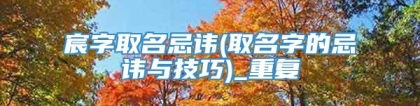 宸字取名忌讳(取名字的忌讳与技巧)_重复