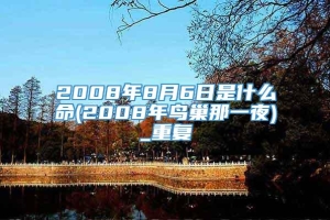 2008年8月6日是什么命(2008年鸟巢那一夜)_重复