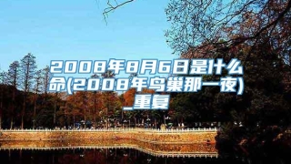 2008年8月6日是什么命(2008年鸟巢那一夜)_重复