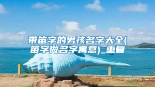 带笛字的男孩名字大全(笛字做名字寓意)_重复