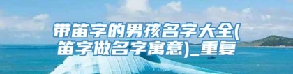 带笛字的男孩名字大全(笛字做名字寓意)_重复