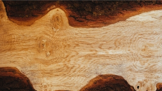 中国周易预测网(如何理解周易阴阳学说)_重复