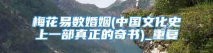 梅花易数婚姻(中国文化史上一部真正的奇书)_重复