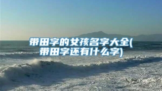 带田字的女孩名字大全(带田字还有什么字)