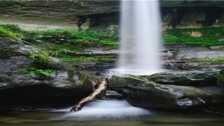 81年鸡是什么命(杨国福没有星巴克的命)