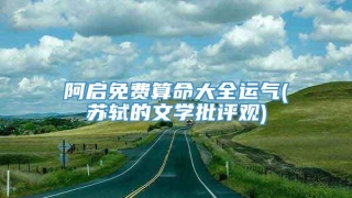 阿启免费算命大全运气(苏轼的文学批评观)