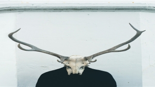 28岁什么生肖适合的工作(28属什么生肖的)_重复