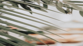 20一30岁身份证号码(20一30岁身份证号码以及名字)_重复