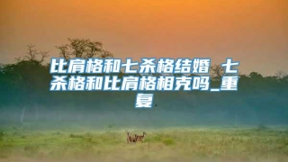 比肩格和七杀格结婚 七杀格和比肩格相克吗_重复