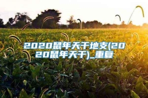 2020鼠年天干地支(2020鼠年天干)_重复