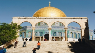 带草字头高雅的女孩名字(取名草字头的字)