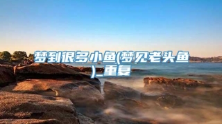 梦到很多小鱼(梦见老头鱼)_重复