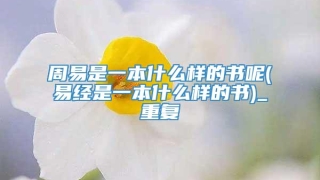 周易是一本什么样的书呢(易经是一本什么样的书)_重复