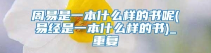 周易是一本什么样的书呢(易经是一本什么样的书)_重复