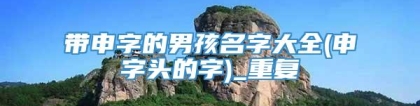 带申字的男孩名字大全(申字头的字)_重复