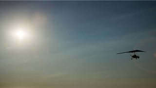 2022年生肖虎1986运势大全(婚姻来的比较迟的生肖)_重复