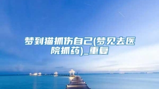 梦到猫抓伤自己(梦见去医院抓药)_重复