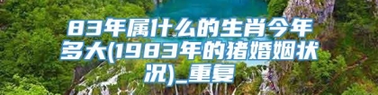 83年属什么的生肖今年多大(1983年的猪婚姻状况)_重复