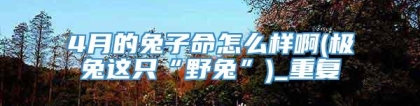 4月的兔子命怎么样啊(极兔这只“野兔”)_重复