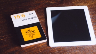 豹字起名配什么字好(豹字的偏旁叫什么)