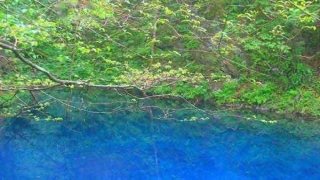 《梅花易数》的千古秘密是什么?