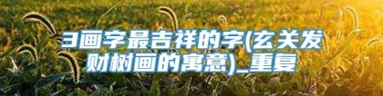 3画字最吉祥的字(玄关发财树画的寓意)_重复