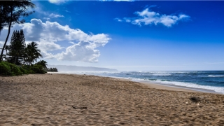 梦到钓到鱼(梦见钓鱼钓到鱼是什么征兆)