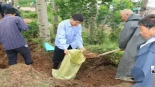 昌乐小刘家庄算卦电话(82岁老人奋战一线)