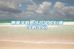 带唯字的男孩名字大全(唯字的含义)