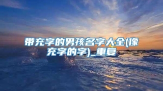 带充字的男孩名字大全(像充字的字)_重复