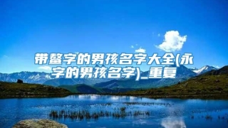 带鳌字的男孩名字大全(永字的男孩名字)_重复