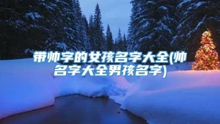 带帅字的女孩名字大全(帅名字大全男孩名字)