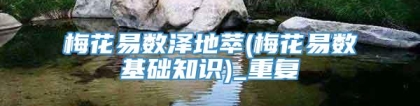 梅花易数泽地萃(梅花易数基础知识)_重复