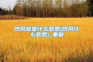 凹风煞是什么意思(凹风什么意思)_重复