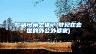 梦到母亲去世了(梦见在去世的外公外婆家)