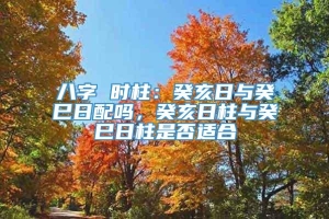 八字 时柱：癸亥日与癸巳日配吗，癸亥日柱与癸巳日柱是否适合