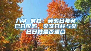 八字 时柱:癸亥日与癸巳日配吗,癸亥日柱与癸巳日柱是否适合