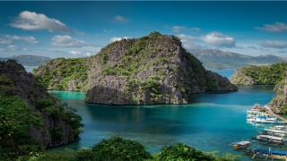 85年属牛的最佳配偶(1981属鸡婚姻配对)