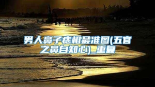 男人鼻子痣相最准图(五官之鼻自知心)_重复