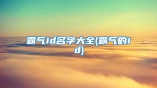 霸气id名字大全(霸气的id)