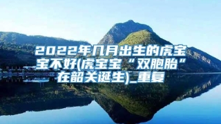 2022年几月出生的虎宝宝不好(虎宝宝“双胞胎”在韶关诞生)_重复