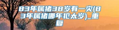 83年属猪38岁有一灾(83年属猪哪年犯太岁)_重复