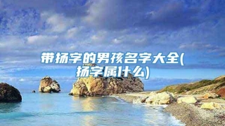 带扬字的男孩名字大全(扬字属什么)